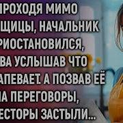 Начальник Ты Че