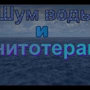 Шум Воды И Пение Птиц