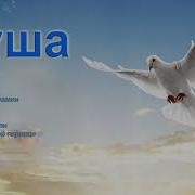 Группа Цыгане Душа