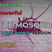 Decibel Mosquito