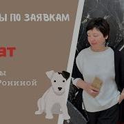 Пират В Сиреневых Тонах