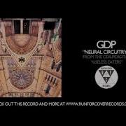 Neural Circuitry Gdp