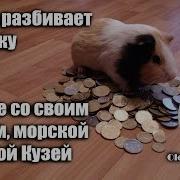 Разбиваем Копилку Дети Морская Свинка Кузя Приключение