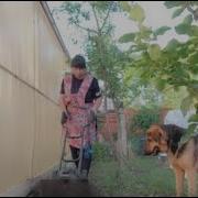 Это Жизнь Наша Жизнь