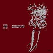 The Mirage Of Life The Second Wave
