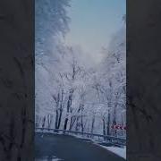 Знаешь Чем Прекрасен Сегодняшний День Шрек
