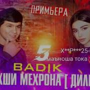 Мебахши Мехрона 2021 Бадик