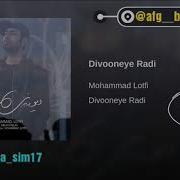Мухаммади Лотфи