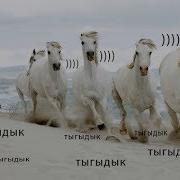 Yandex Лесбиянки С Красивой Пиздой