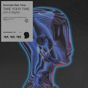 Tensnake Feat Teira Take Your Time Do It Right