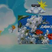 Милая Моя С Добрым Утром Видео Открытка Пожелания Доброго Утра Любимой