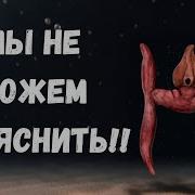 Сверхъестественные Существа
