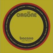 Small Time Orgone