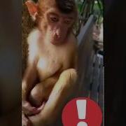 Я Сижу Никому Здесь Не Нужен