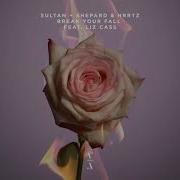 Sultan Shepard Quibus Break Your Fall Feat Liz Cass