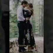 Жийданинг Гулларидан Барглари Куп Санжар