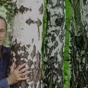 С Ненаглядной Певуньей В Стогу Ночевал