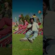 Snippet Wondering