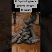 Супер Ядерный Понос
