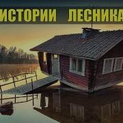 Истории Из Жизни Рассказы Лесника