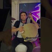 Solo Dovul Doira