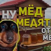 Мед Медятина
