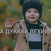 Видео Декъал Во Халид Скачать