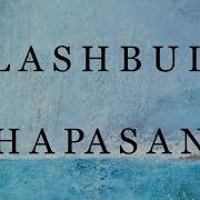 Flashbulb Hapasan