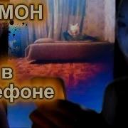 Непеты Страшилки Мой Сны