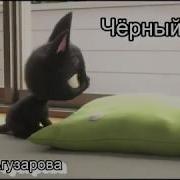 Песня Про Чёрного Кота