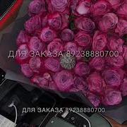 Дал Декьал Войл Хьо Сан Хьоме Ваш