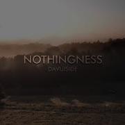 Davuiside Nothingness