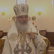 Ешь Пей Веселись