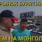 Ты Позеленел