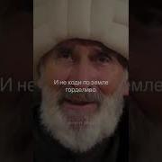 Великолепный Век Грустные Слова