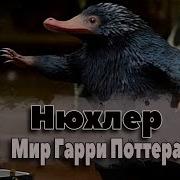 Нюхлер Нюхль Фантастические Твари И Где Они Обитают Мир Гарри Поттера