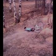 Лох Упал На Велике Ржака Смотреть До Конца