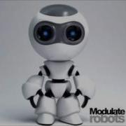 Modulated Robot