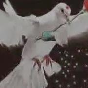 Байди Занги Охирин