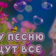 Кристина Ашмарина Ромашки