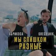 Мы Слишком Разные Абрикоса Grechanik