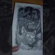 Коты Воители Голоса В Ночи Книга