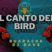 El Canto Del Bird Special Version Dj Dave