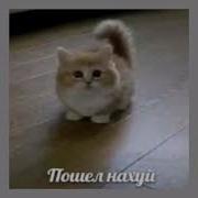 Теркель В Беде Speed Up