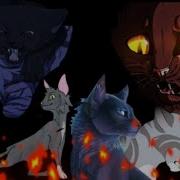 Коты Воители Believer На Русском