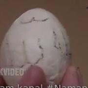 Farg Onada Xar Juma Kuni Bita Tovuq Eskichada Allox Muxammad Yozuvli