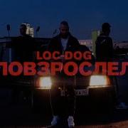 Повзрослел Loc Dog