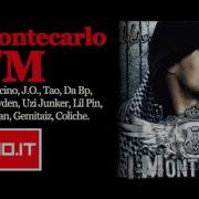 Amico Mio Ibo Montecarlo
