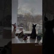 Сотворить Добро Пытайся В Воду Брось Пускай Плывет