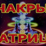 Матрица Счастья Гаряева
